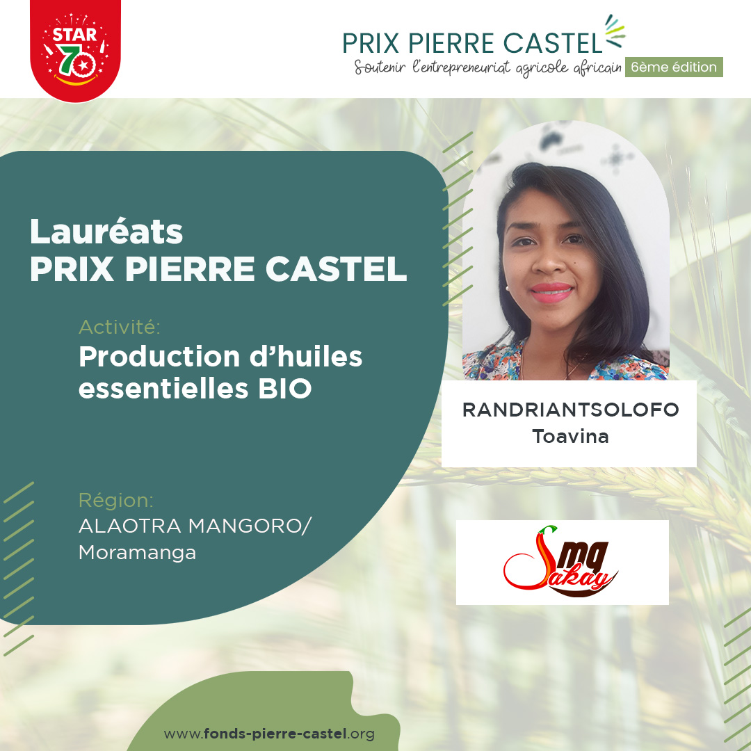 Lauréats Prix Pierre Castel 2023