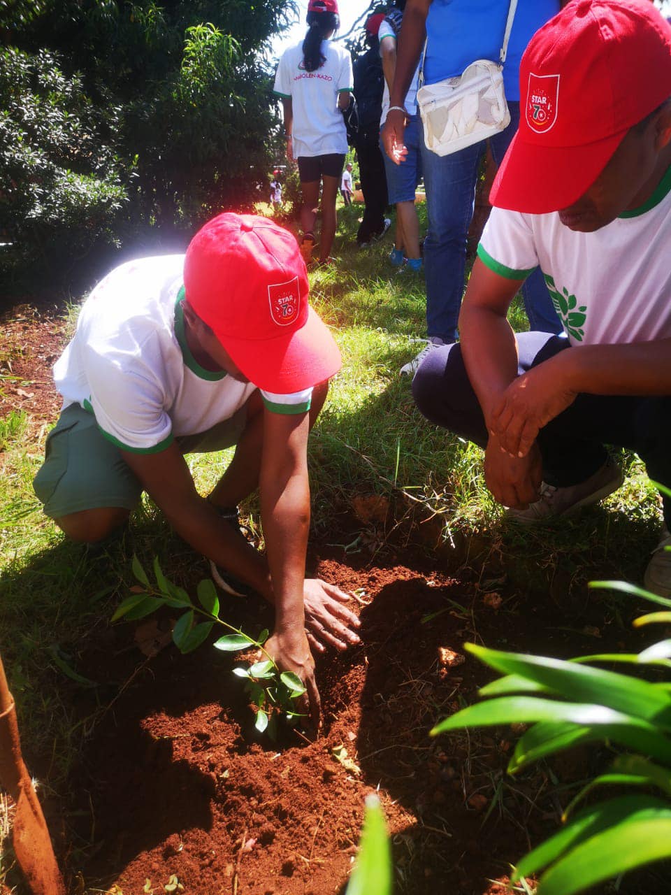 Reboisement avec les membres du SIM
