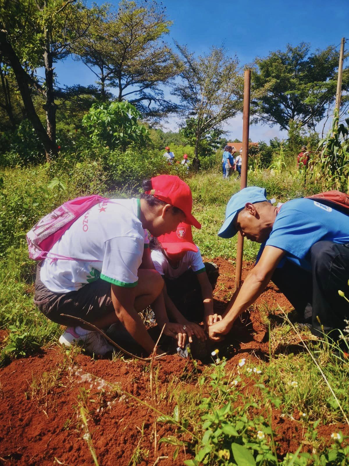 Reboisement avec les membres du SIM