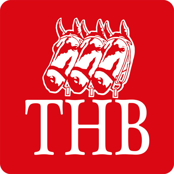 Logo THB
